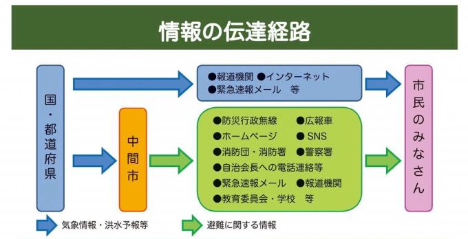 情報伝達経路