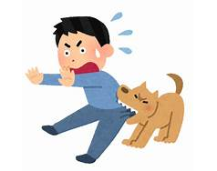 犬に噛まれている画像