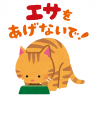 猫にエサを与えないでのイラスト