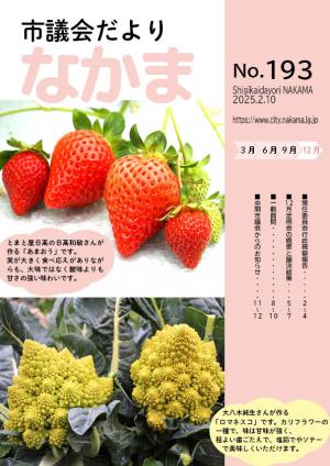 議会だより(第193号)