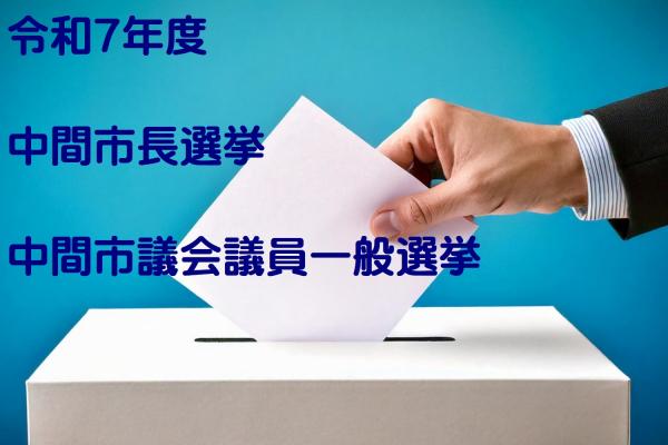 投票イメージ図
