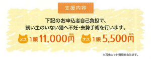 支援内容