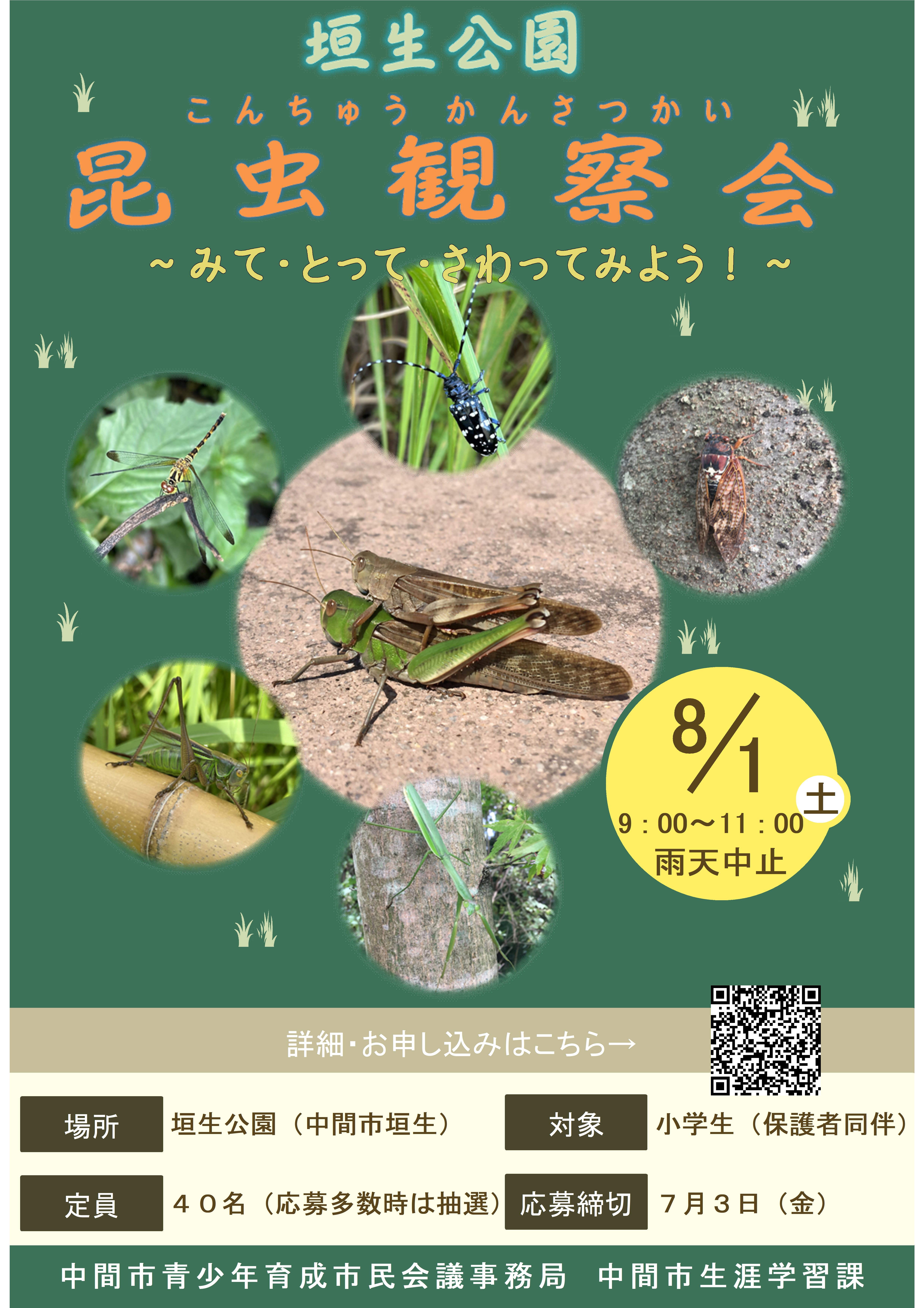 チラシ(昆虫観察会)