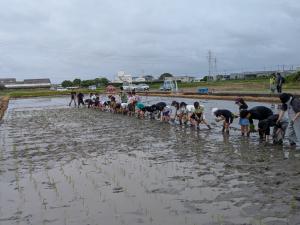 田植え1