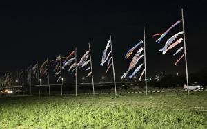 鯉のぼりがライトアップされている写真