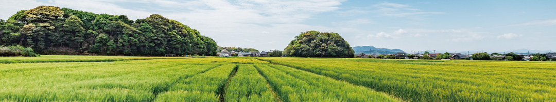 ふるさと納税のタイトル画像